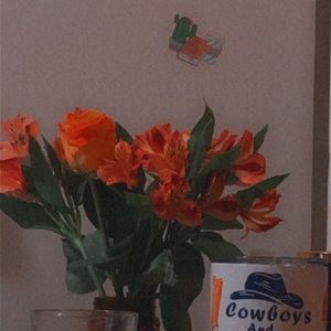 Meet your Posher, Ambrea